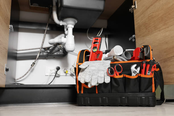 Best Leak Detection Services  in Ester, AK