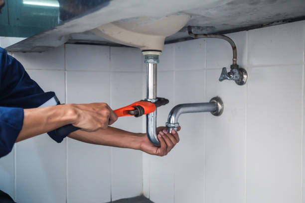 Best Plumbing Repair Near Me  in Ester, AK