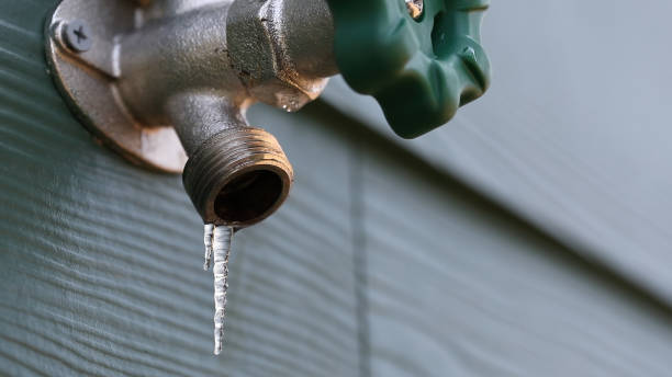 Best Sprinkler Systems  in Ester, AK
